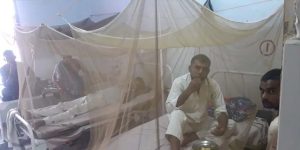 सीएमओ हमीरपुर का दावा, डेंगू का एक भी केस ज़िले में नहीं